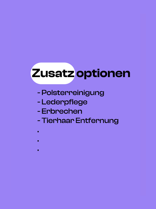 autoreinigung-preise-aufbereitung-polsterreinigung-lederpflege-erbrechen-ozonbehandlung